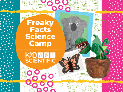 Freaky Facts Science Camp Summer Camp (5-12 Years)